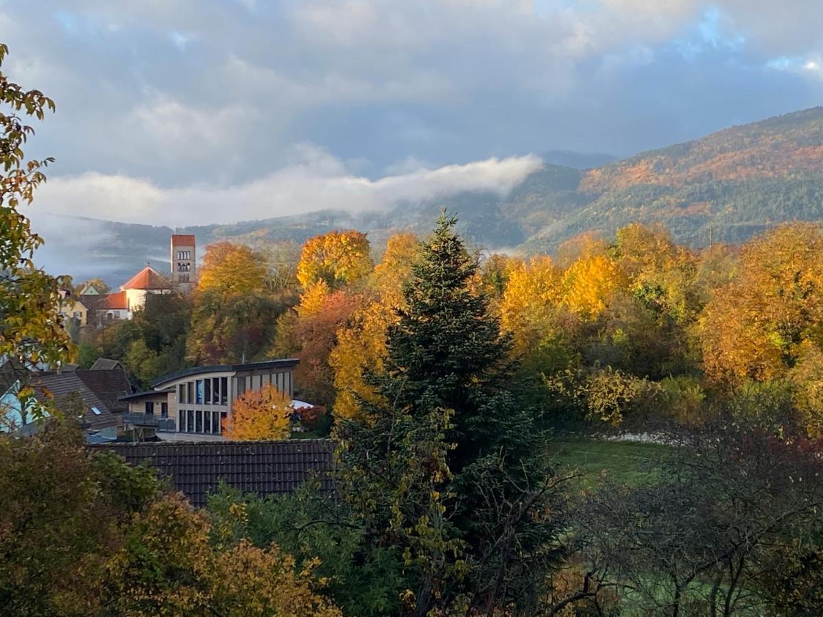 Le Moonloft Insolite Tiny-house Dans Les Arbres & 1 Seance De Sauna Pour 2 Avec Vue Panoramique Osenbach