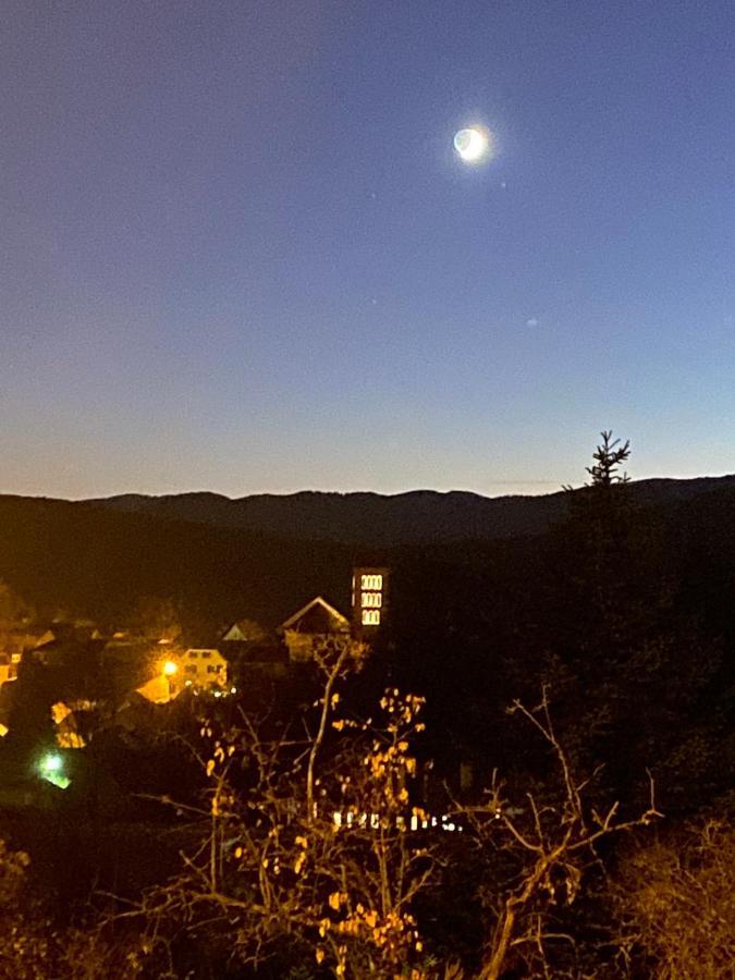 Le Moonloft Insolite Tiny-house Dans Les Arbres & 1 Seance De Sauna Pour 2 Avec Vue Panoramique * Osenbach