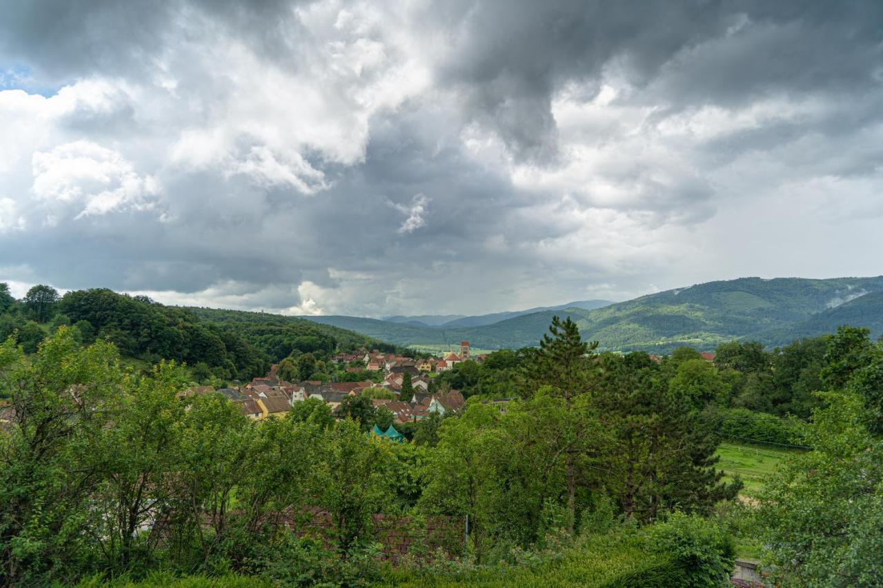 Le Moonloft Insolite Tiny-house Dans Les Arbres & 1 Seance De Sauna Pour 2 Avec Vue Panoramique * Osenbach